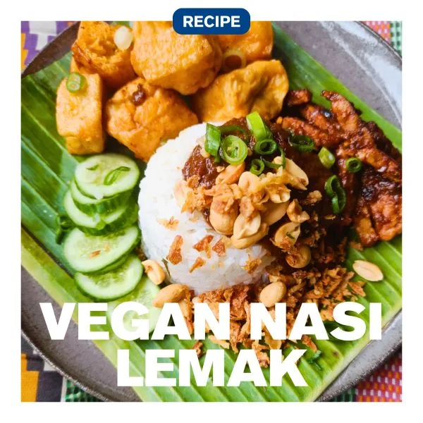 vegan nasi lemak recipe funky vegan malaysian sambal